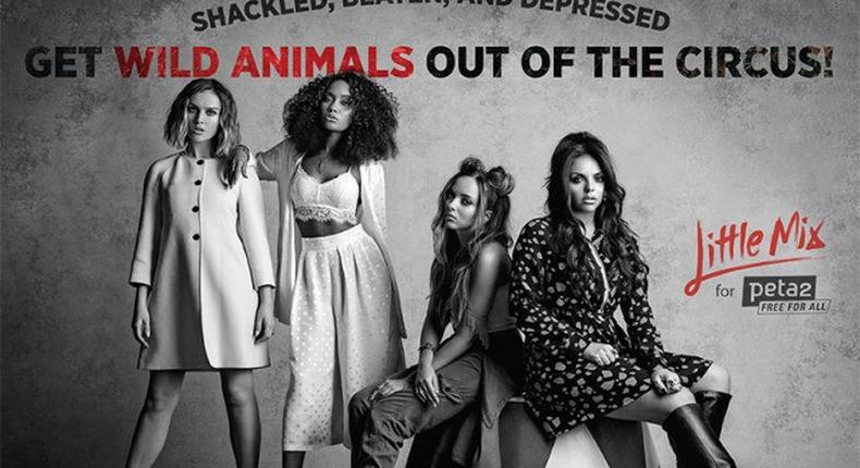 Little Mix joins PETA2 to call for the release of animals from circuses