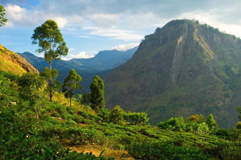 Ella, Sri Lanka