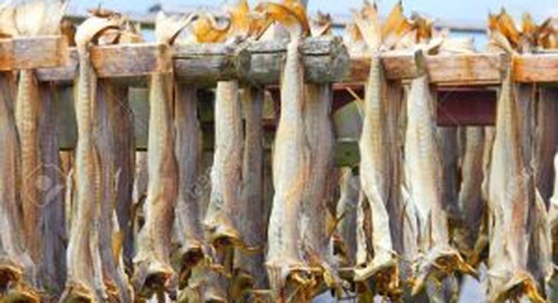 Analysis: Why stockfish should remain important in Nigerian cuisine. [NAN]