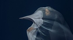 Natalia Przybysz przedstawia "Ciepły wiatr" i zapowiada ekologicznie wydany album "Jak malować ogień"