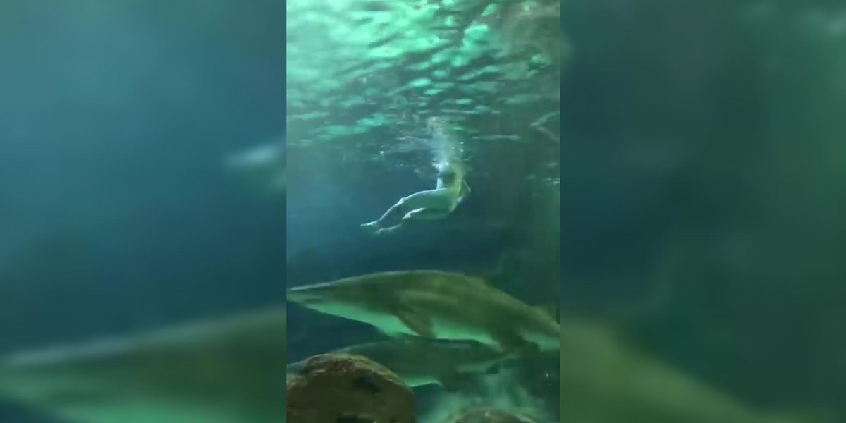Wskoczył nago do akwarium z rekinami, bo uciekał przed policją