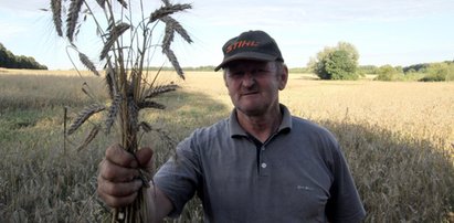 Koszmar polskich rolników. Ludzie są zdruzgotani!