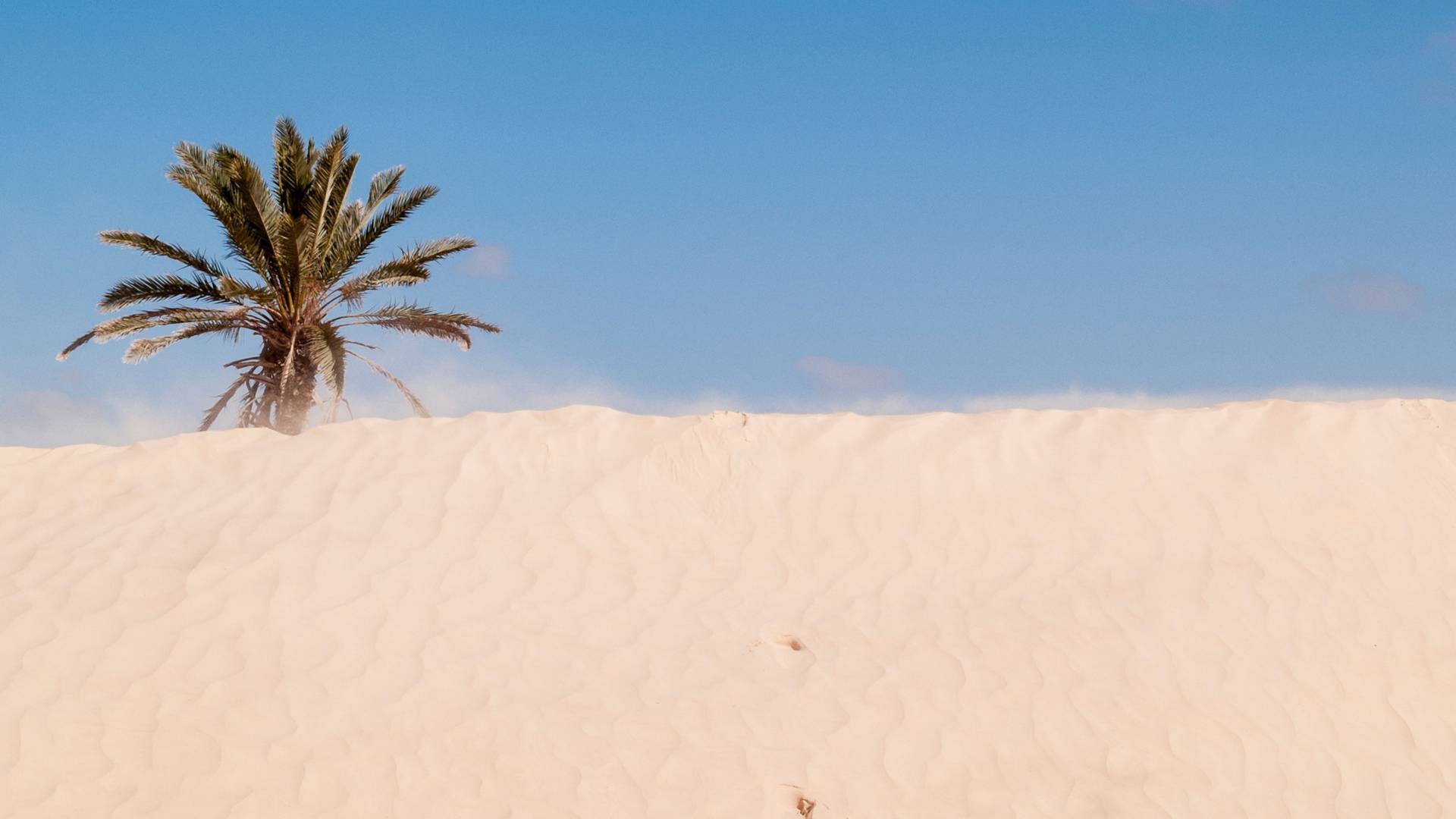 Može li pesak iz Sahare da zaustavi uragane?