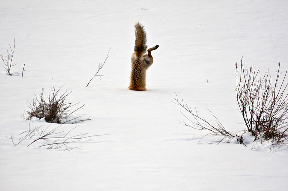 National Geographic Photography Contest 2012