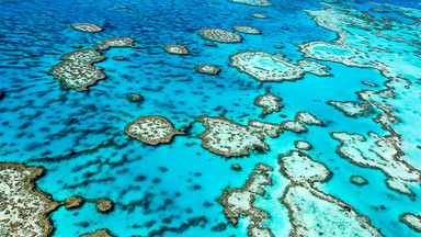 UNESCO chce wpisać Wielką Rafę Koralową na listę zagrożonego światowego dziedzictwa