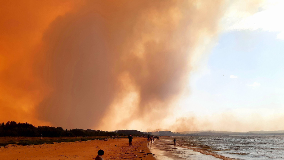 Pożary w Australii. Czym było "czarne lato"?