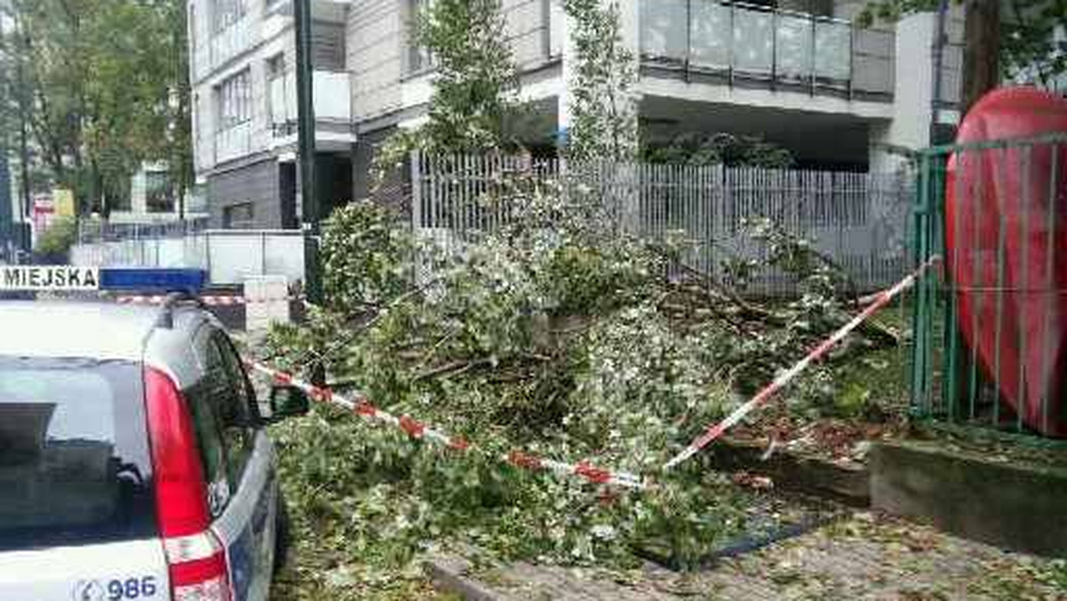 Warszawskie Biuro Bezpieczeństwa i Zarządzania Kryzysowego informuje, że po wieczornej burzy stołeczna komunikacja kursuje normalnie. Znakomita większość ulic jest przejezdna, więc mieszkańcy nie powinni mieć kłopotów z dotarciem do pracy. W związku z nawałnicą strażacy interweniowali ponad 300 razy.