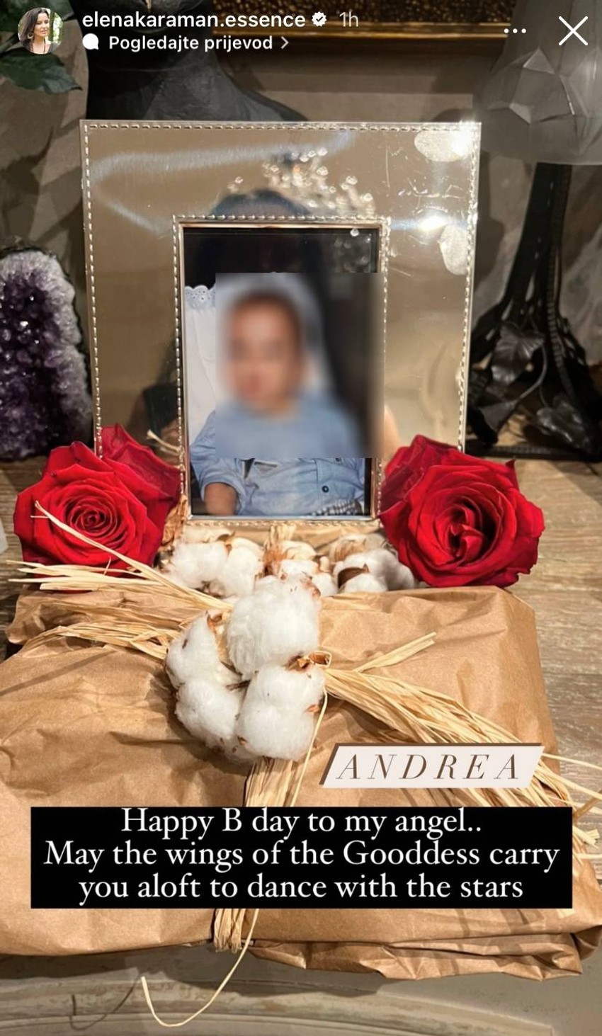 Elena Karić oglasila se na dan rođendana pokojnog sina