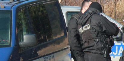 Obława w Katowicach. Policja poszukuje kierowcy mustanga