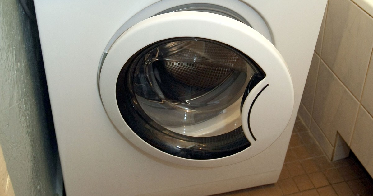 Jak wyczyścić pralkę z sierści psa lub kota? Banalnie prosty sposób. Zawsze się sprawdza!