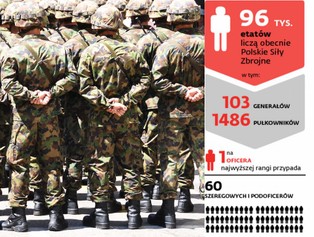 Polska armia: młodzi żołnierze uciekają, generałowie i pułkownicy zostają