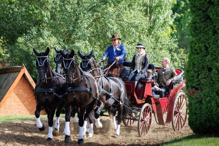 The newlyweds and bridesmaids line up to go to the ceremony