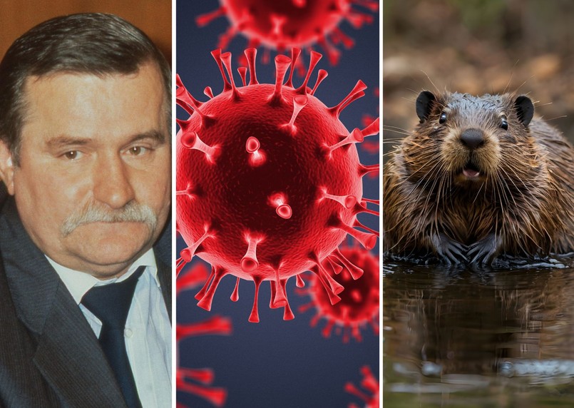 Trudny quiz z wiedzy ogólnej. 10/13 to już świetny wynik. Dasz radę?