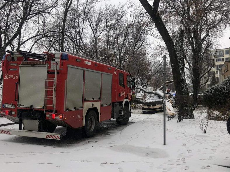 Burza śnieżna przewróciła też drzewa na Saskiej Kępie w Warszawie 
