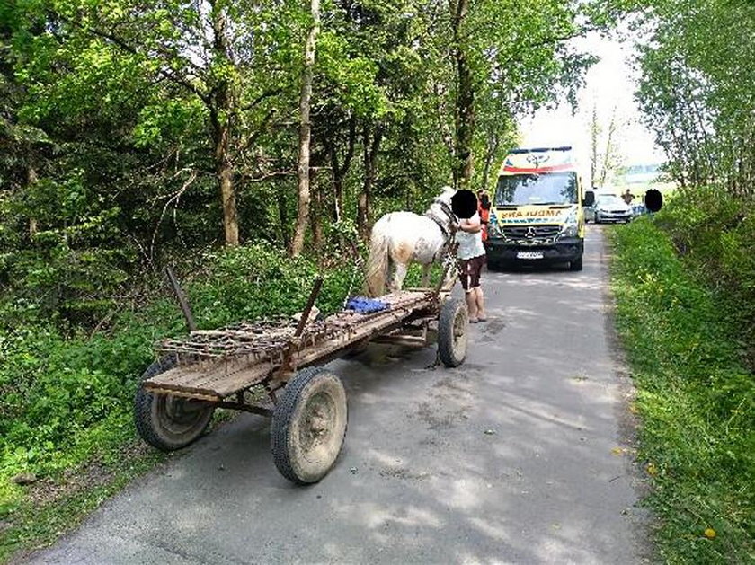 Pijany woźnica spał w wozie na drodze