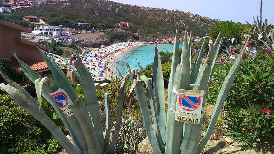 Święta Teresa – Sardynia – zakaz parkowania można zawiesić nawet na kaktusach!