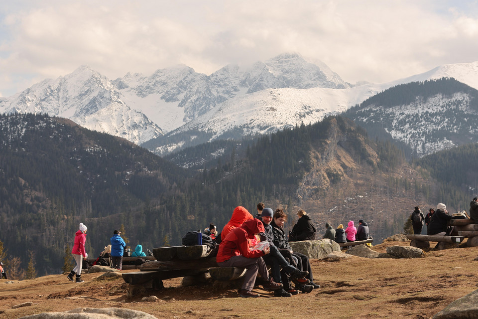 W Tatrach zakwitły krokusy. Tłumy turystów ruszyły podziwiać kwiaty w Dolinie Chochołowskiej