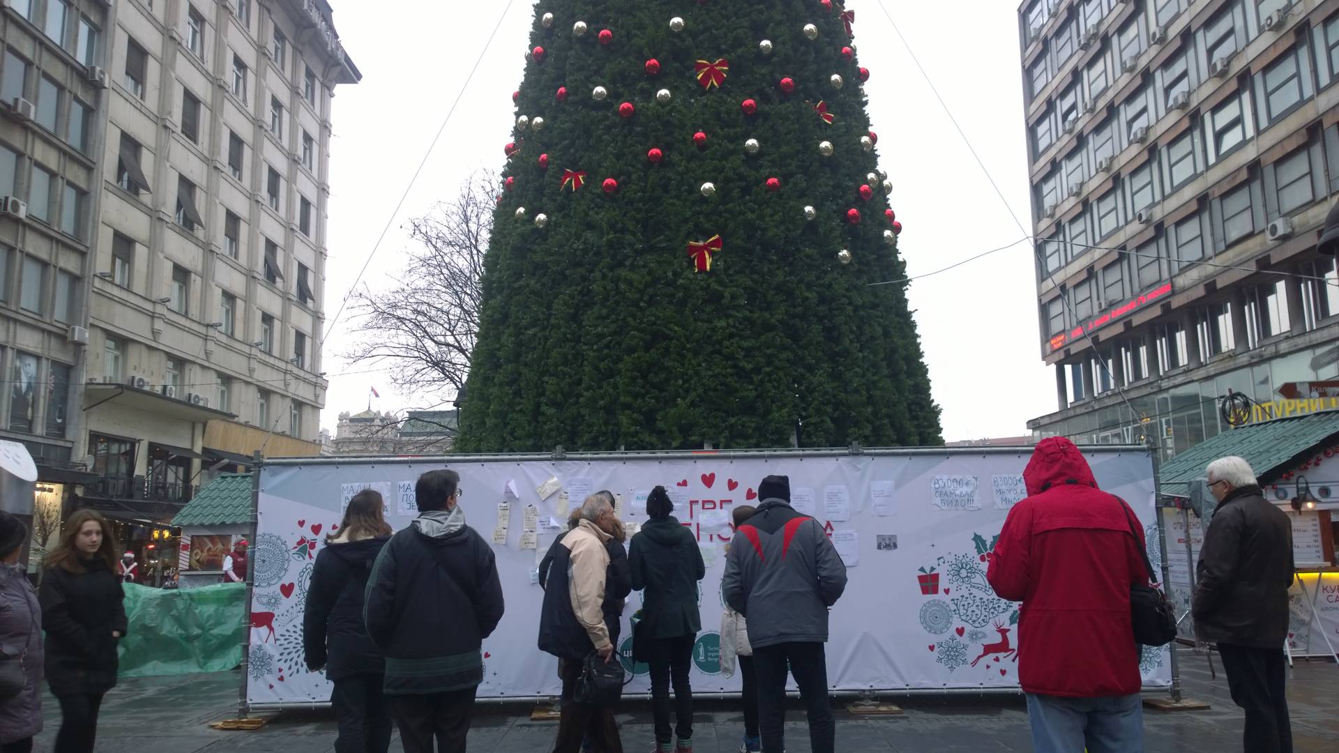 Kucali smo na vrata "dobrotvorima" koji su Beogradu "poklonili" jelku od 83.000 evra