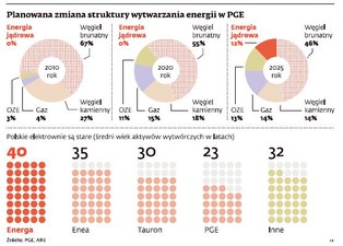 PGE: pierwsza polska elektrownia atomowa nie powstanie przed 2025 r.