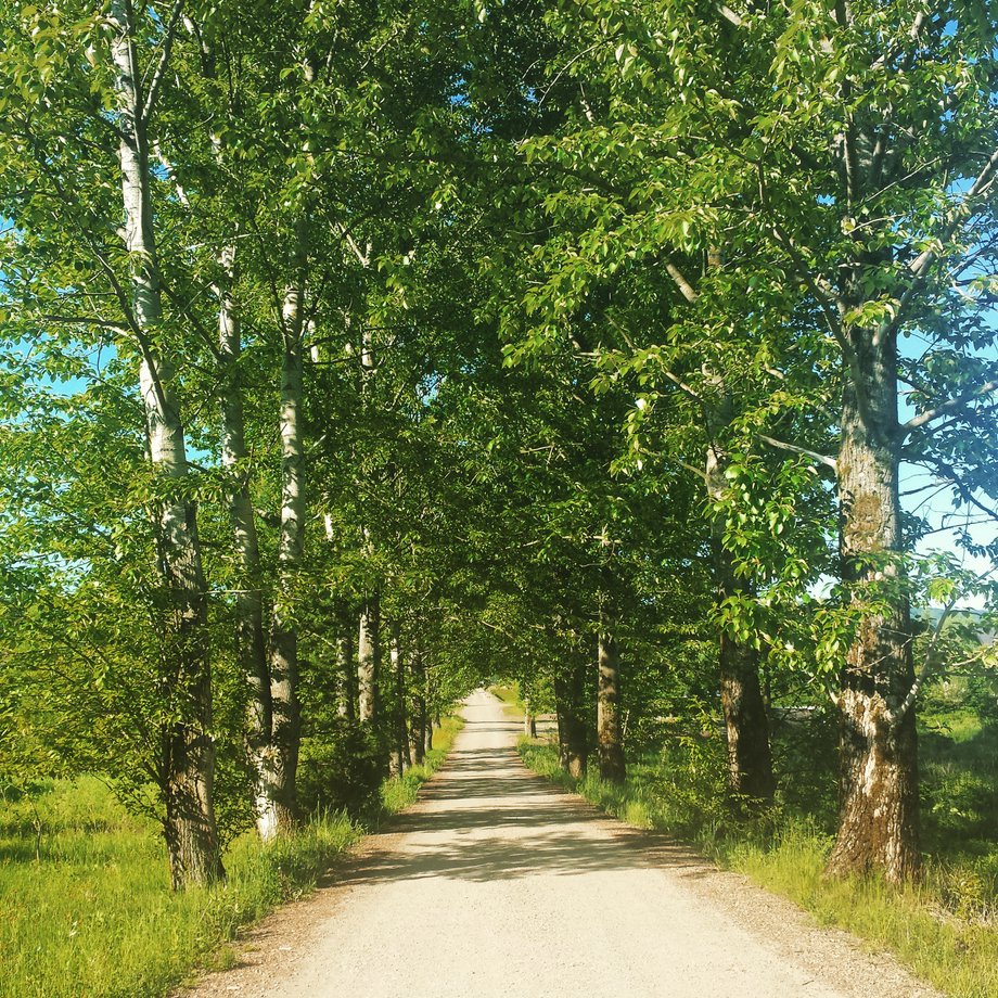 Bieszczady to jeden z najbardziej dzikich i tajemniczych zakątków Polski