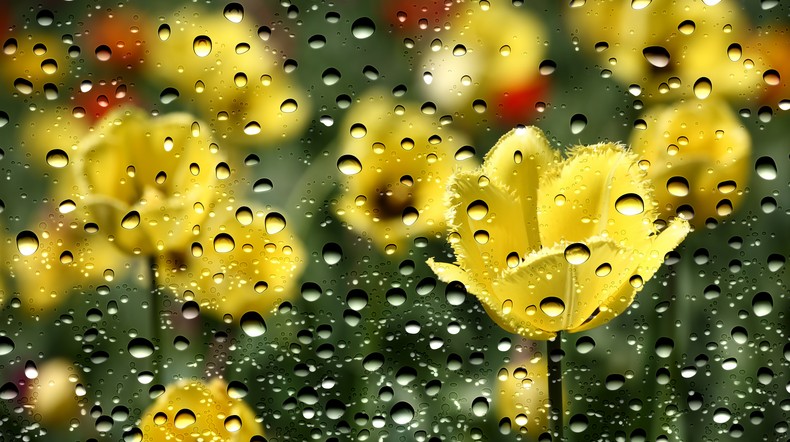 Jaka Pogoda Czeka Nas W Srode 2 Maja 2018 Roku