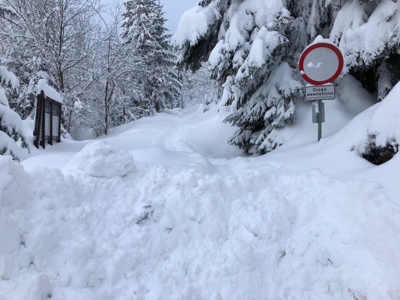 Początek szlaku na Rusinową Polanę