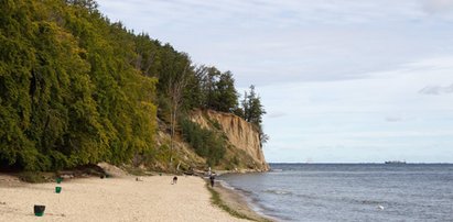 Makabryczne odkrycie na plaży w Gdyni. Znaleziono ciało mężczyzny