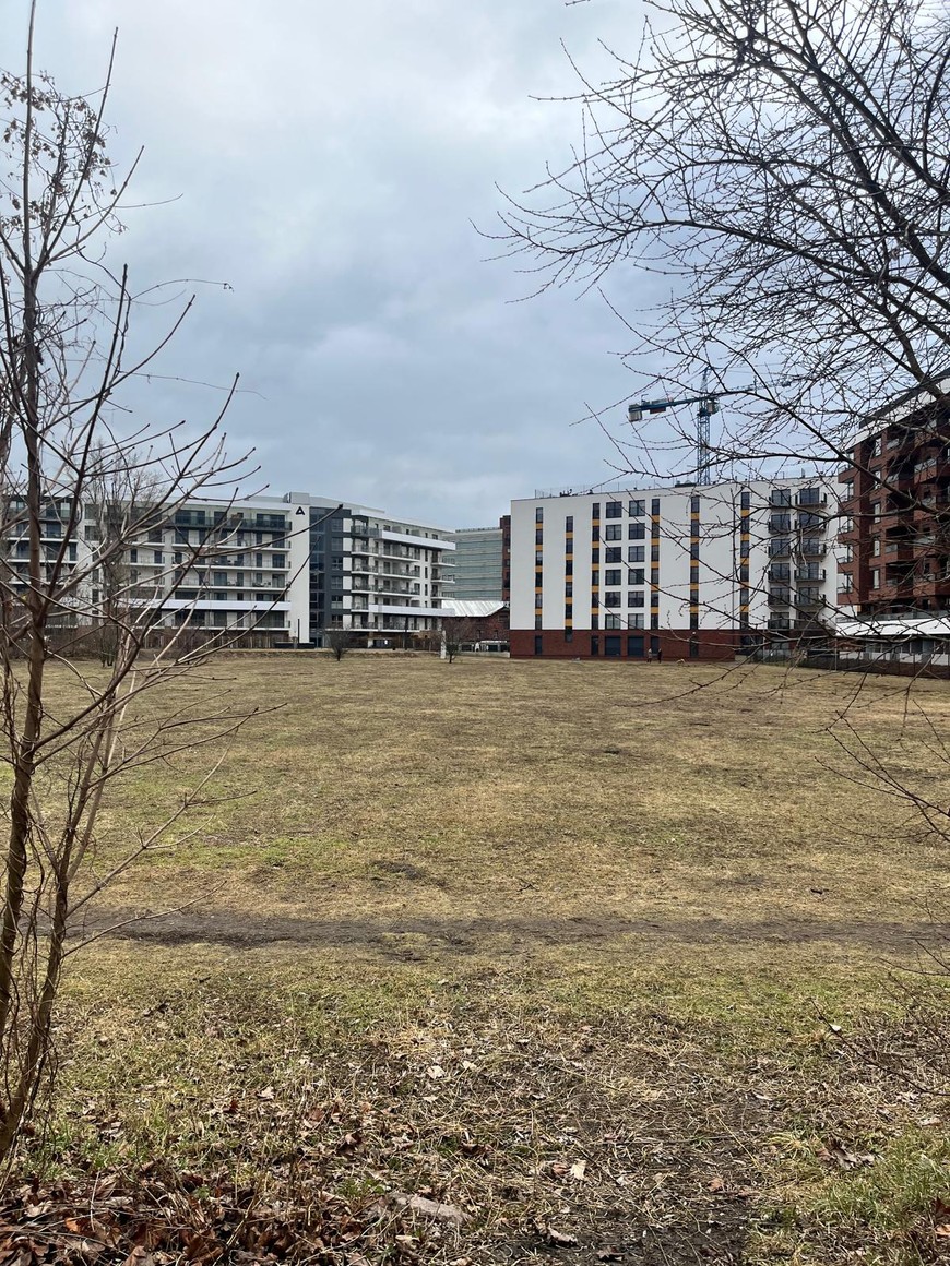 Dawny teren wojskowy był oczyszczany przez specjalne bakterie i grzyby. Teraz musi być monitorowany