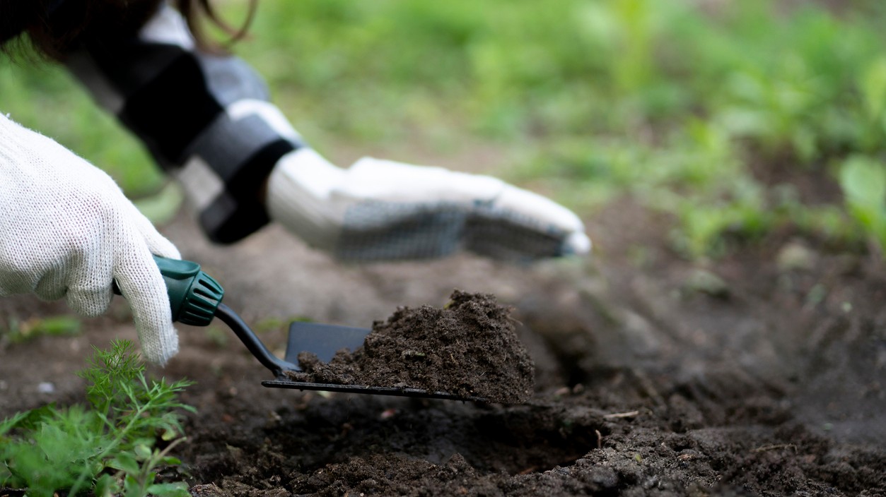 Zistite, či má vaša pôda správne pH – stačí jednoduchý test doma.