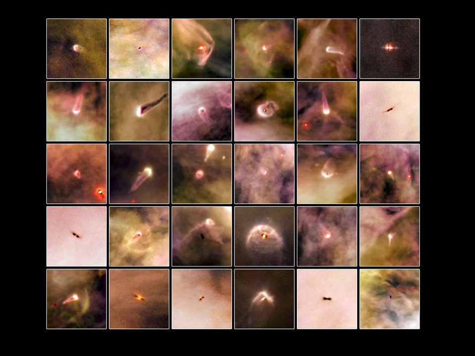 Born in beauty: proplyds in the Orion Nebula