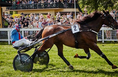 Majówka na Partynicach. Wyścigi, koncert jazzowy i rodzinne atrakcje