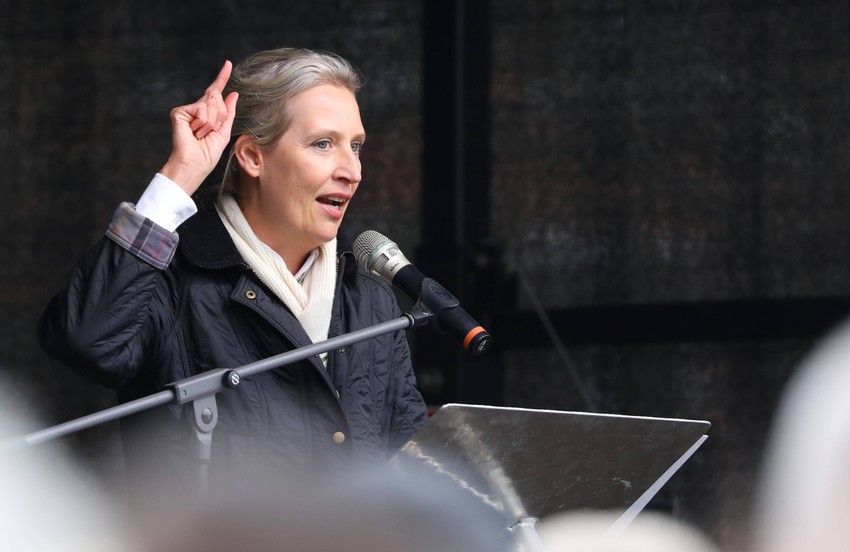 Alis Vajdel, liderka AfD