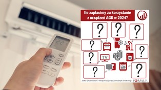 Ceny prądu w 2024 roku. Ile zapłacimy za korzystanie z urządzeń AGD? [WYLICZENIE]