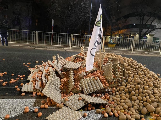 Protest przed domem Jarosława Kaczyńskiego