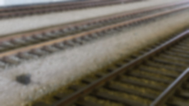 Cięższe pociągi pojadą po odnowionym moście w Terespolu
