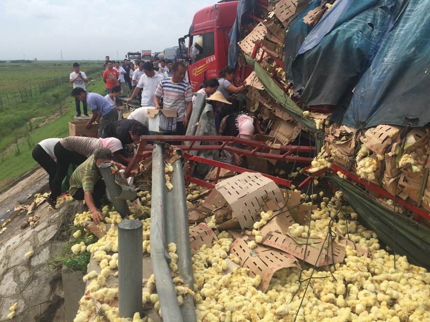 Najbardziej puchaty wypadek na świecie