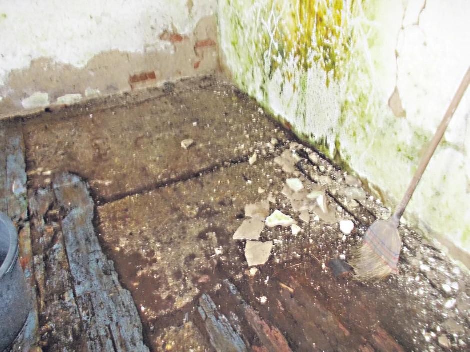 Kuću načeo zemljotres: Od vlage ne moze da se diše