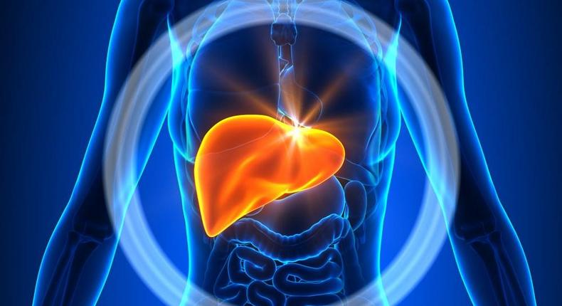 6 Things You Need to Know About Your Liver That Have Nothing to Do with Alcohol 