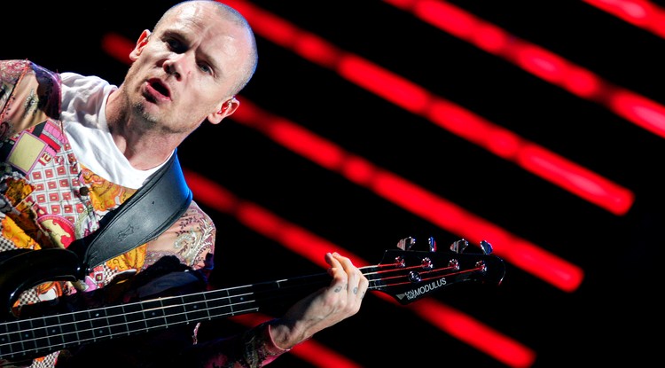 Flea egy koncerten 2006-ban