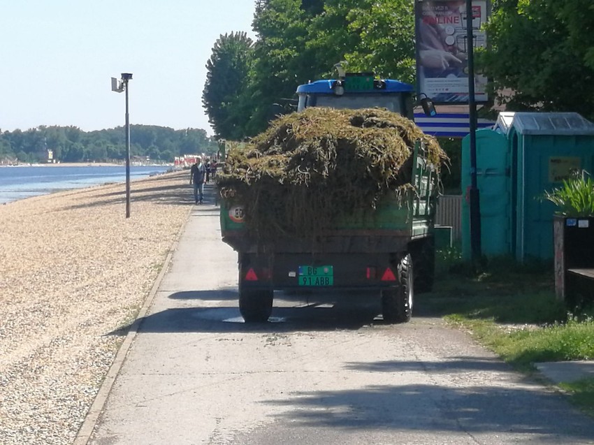 Kamioni odvoze pokošenu travu sa Ade Ciganlije