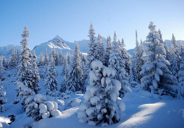 Galeria Polska - Tatry w bożonarodzeniowy weekend, obrazek 33