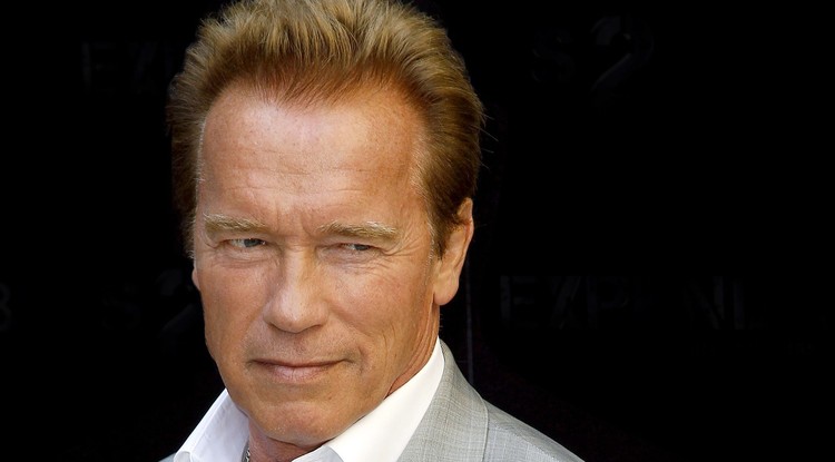 Nem várt tovább, kátyúzott Arnold Schwarzenegger. Fotó: Northfoto