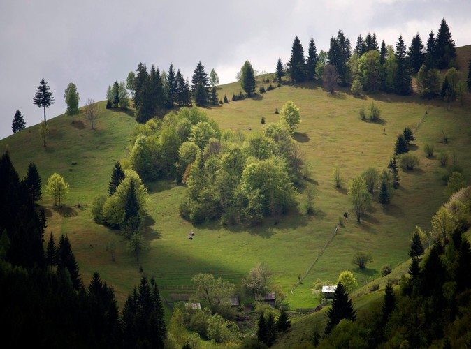 Objazdowi lekarze-wolontariusze w Rumunii