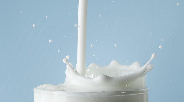 Drágább lehet hamarosan minden tejtermék /Fotó: Northfoto