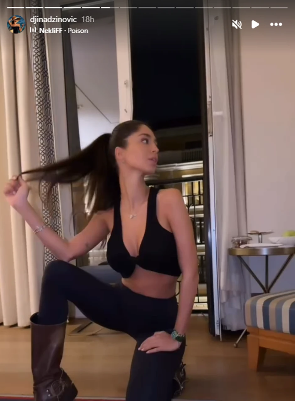 Đina Džinović, objava