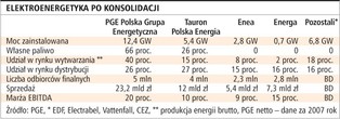 Koncentracja rynku energetycznego jest nadmierna