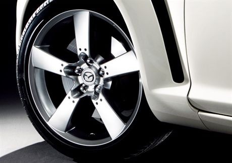 21.1%(100-0.5-0)DM 30.5%(100-0.5-0)