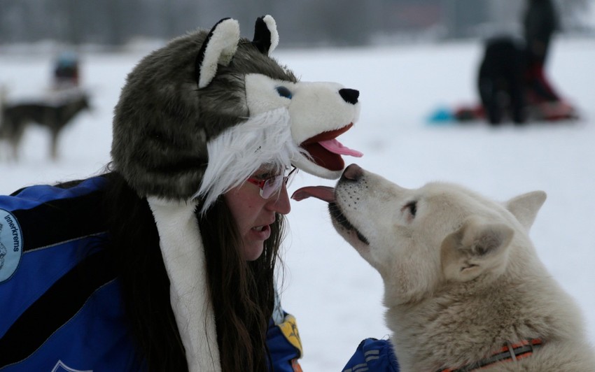 Da li su ljudi pripitomili vukove ili su vukovi svesno pripitomili sami sebe?
