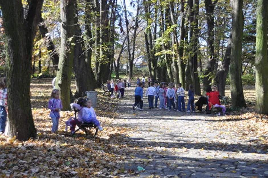 Park u Seltersu, Mladenovac