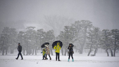 Japonia: śnieg nadal paraliżuje Tokio i okolice